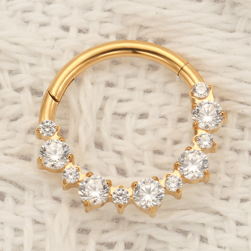 ASTM F136 티타늄 다이스 클리커 코 피어싱 (C - Septum Clicker Ring 리뷰 및 가격