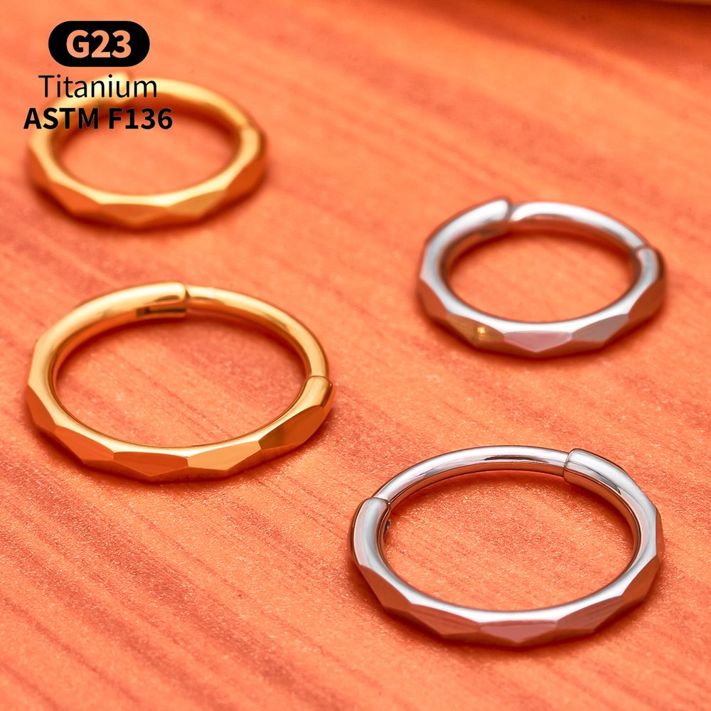 G23 티타늄 패싯 큐빅 지르코니아 힌지드 세그먼트 링 - Septum Clicker Ring 리뷰 및 가격