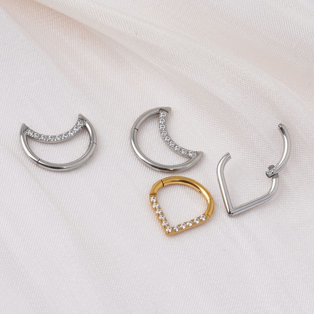 F136 티타늄 힌지 티어 드롭 세그먼트 링 Septu - Septum Clicker Ring 리뷰 및 가격