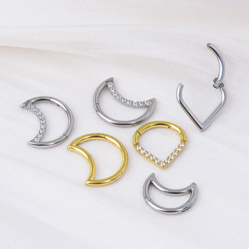F136 티타늄 힌지 티어 드롭 세그먼트 링 Septu - Septum Clicker Ring 리뷰 및 가격