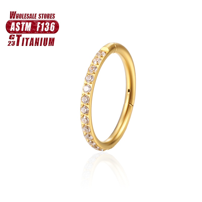 F136 티타늄 코 링 임플란트 등급 힌지 심리스 귀걸 - Septum Clicker Ring 리뷰 및 가격