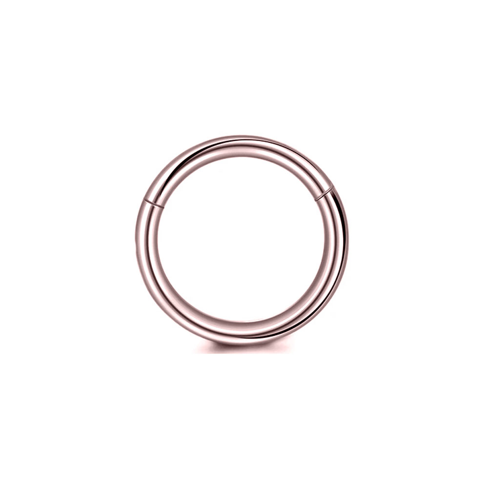 316L 외과 강철 리모콘 세그먼트 코 링 기본 Sep - Septum Clicker Ring 리뷰 및 가격